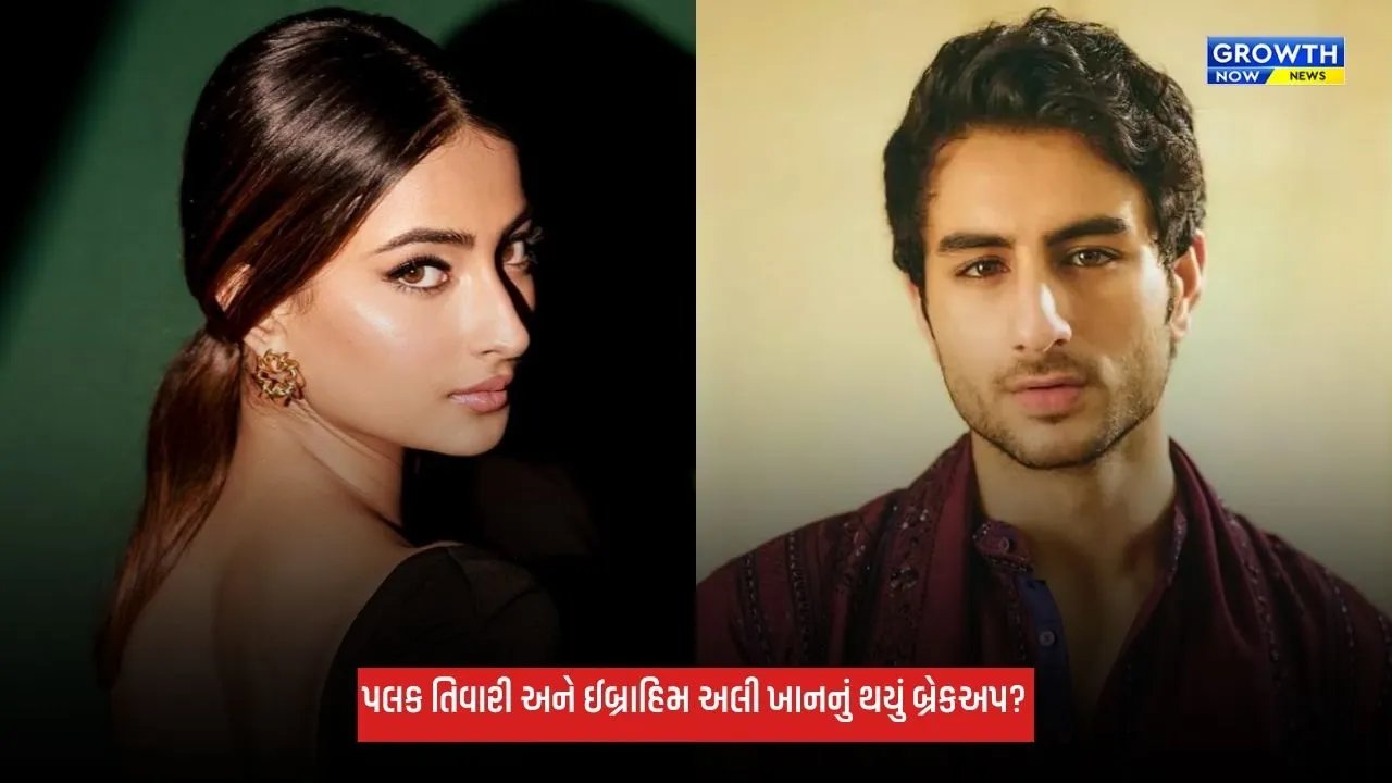 Palak Tiwari: 3 વર્ષ રિલેશનશિપમાં રહ્યા બાદ ઈબ્રાહિમ અલી ખાન અને પલક તિવારીનું થયું બ્રેકઅપ! જાણો શું છે સમગ્ર મામલો