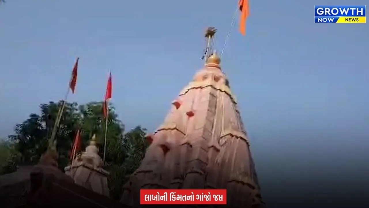Arvalli News : માલપુરના શૂલપાણેશ્વર મંદિરમાં પોલીસની રેડ, ગાંજાના છોડ અને સૂકો ગાંજો મળ્યો
