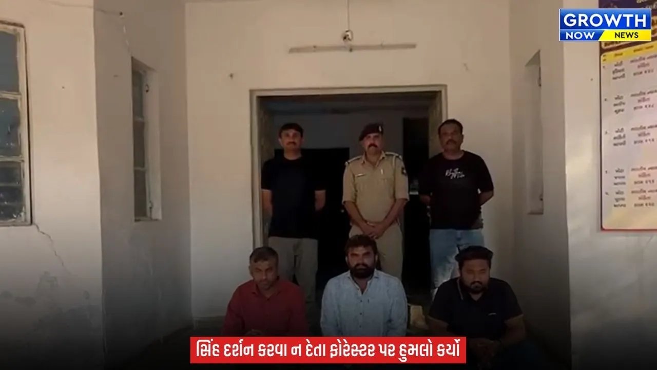 Amreli News : અમરેલીમાં સિંહ દર્શન માટે દાદાગીરી, ફોરેસ્ટ કર્મચારી પર હુમલો કરનાર 3 આરોપી ઝડપાયા
