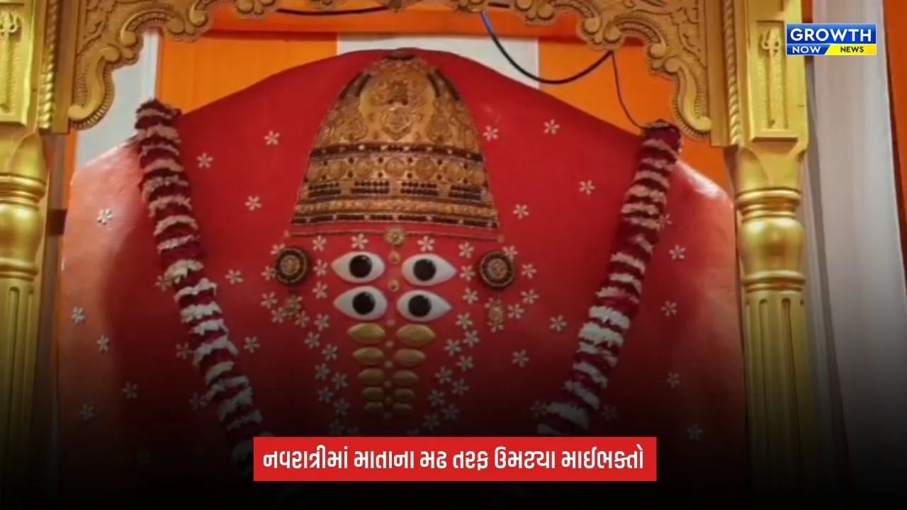 Shardiya Navratri 2026:  પદયાત્રીઓનું ઘોડાપૂર, ઠેર-ઠેર સેવાકીય કેમ્પોથી માઈભક્તોની સેવા