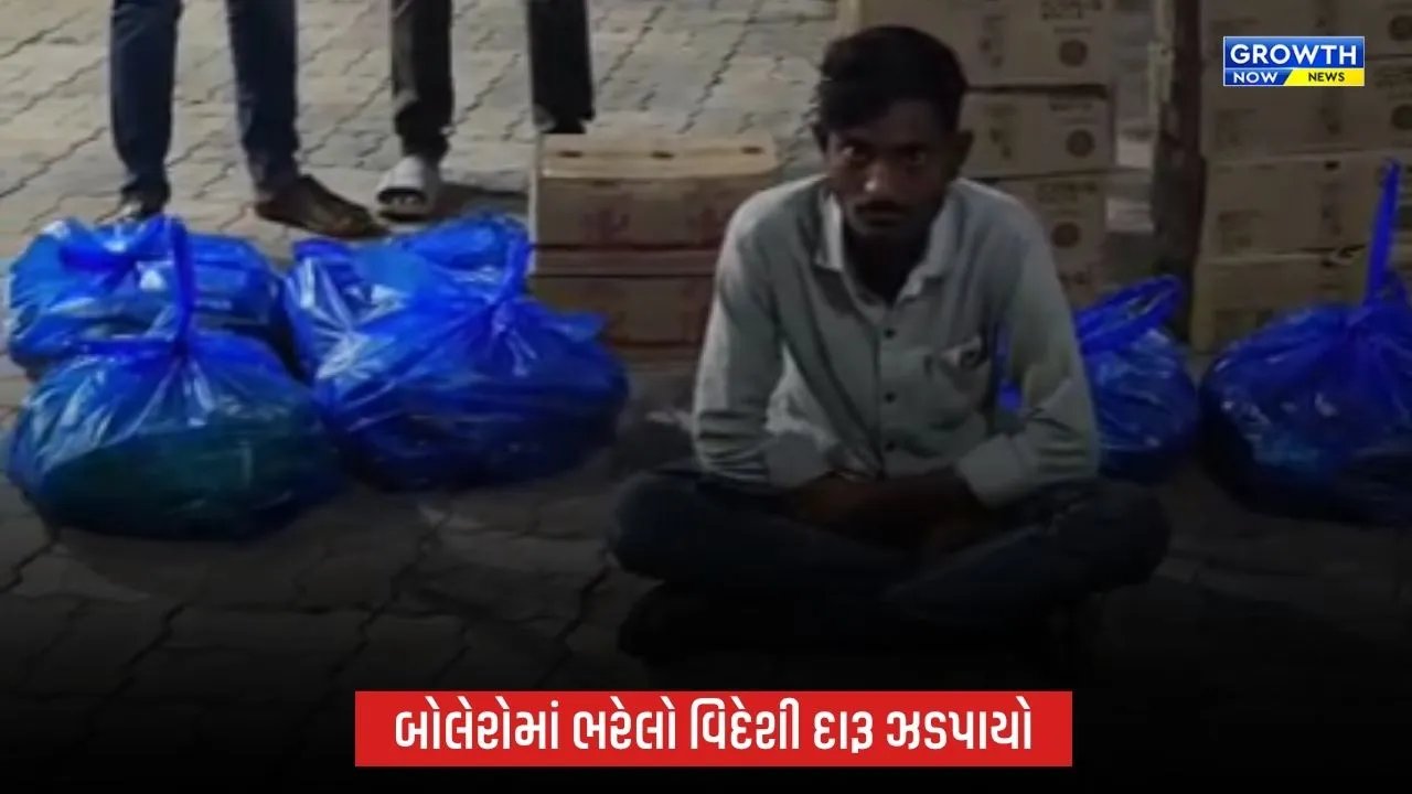 નવસારીમાં LCBની મોટી કાર્યવાહી, 855 બોટલ વિદેશી દારૂ સાથે બોલેરો પિકઅપ ઝડપાઈ