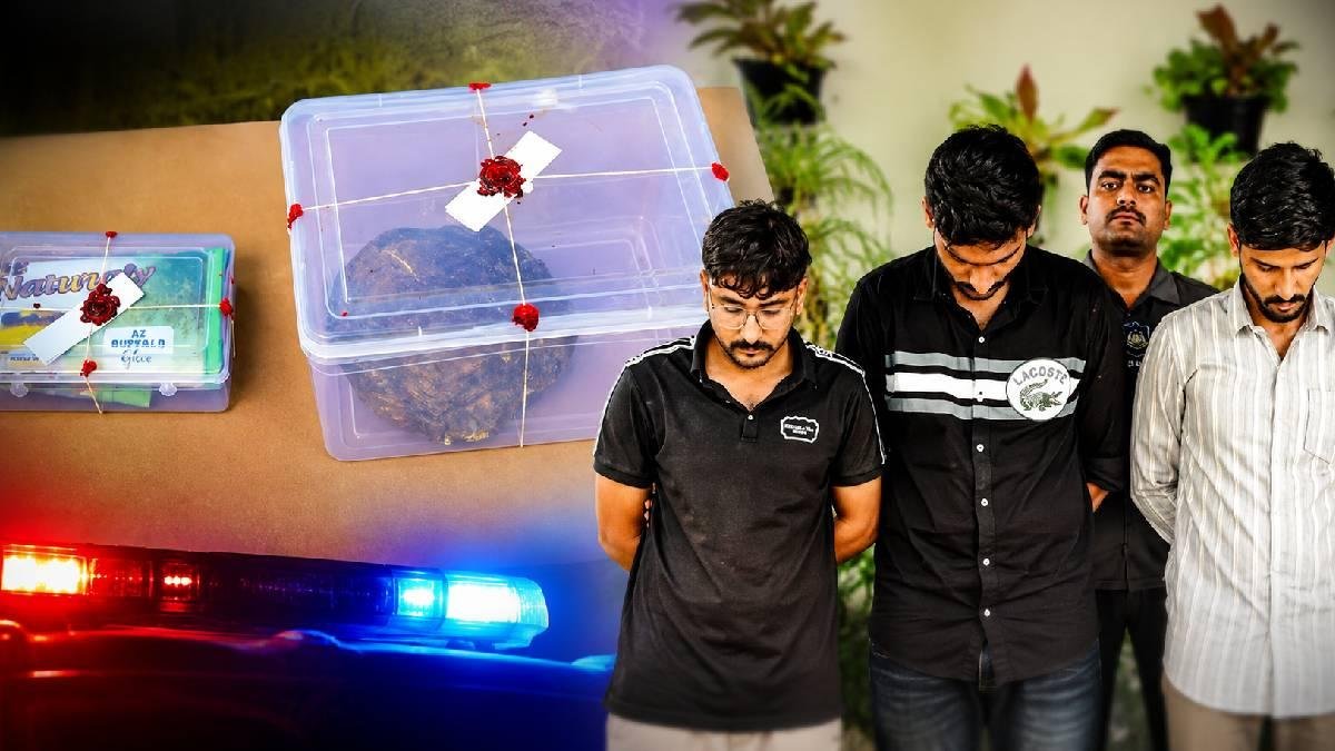 અમદાવાદ LCBની મોટી કાર્યવાહી: 1.82 કરોડની વ્હેલની ઉલટી સાથે 3 આરોપીઓ ઝડપાયા