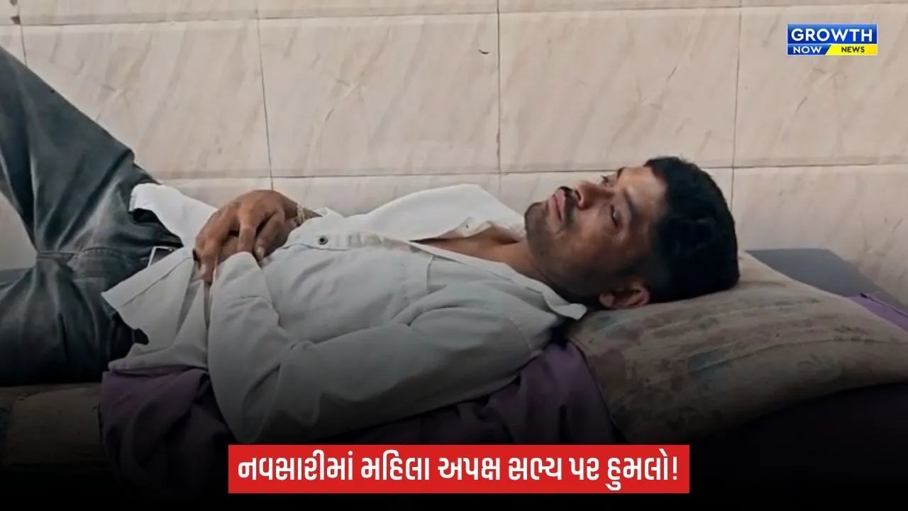 Navsariમાં અપક્ષ સભ્ય સેજલ પટેલ પર હુમલાનો આક્ષેપ, ગૌચર જમીન મુદ્દે અરજી બાદ 4 શખ્સોએ હુમલો કર્યાનો દાવો