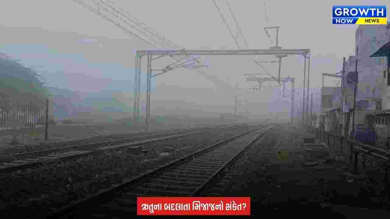 Dabhoi : ચોમાસાની વિદાય પહેલાં શિયાળાની દસ્તક! ડભોઇમાં ગાઢ ધુમ્મસથી વાતાવરણ બદલાયું