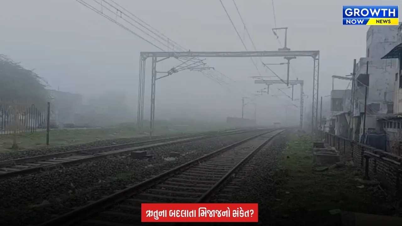 Dabhoi : ચોમાસાની વિદાય પહેલાં શિયાળાની દસ્તક! ડભોઇમાં ગાઢ ધુમ્મસથી વાતાવરણ બદલાયું