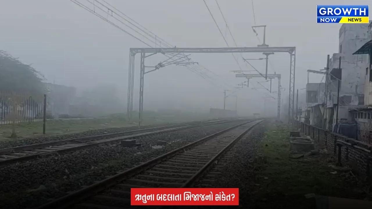 Dabhoi : ચોમાસાની વિદાય પહેલાં શિયાળાની દસ્તક! ડભોઇમાં ગાઢ ધુમ્મસથી વાતાવરણ બદલાયું