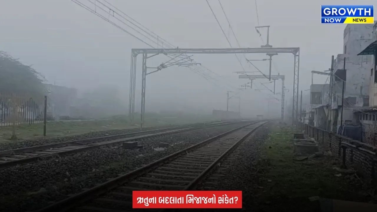 Dabhoi : ચોમાસાની વિદાય પહેલાં શિયાળાની દસ્તક! ડભોઇમાં ગાઢ ધુમ્મસથી વાતાવરણ બદલાયું