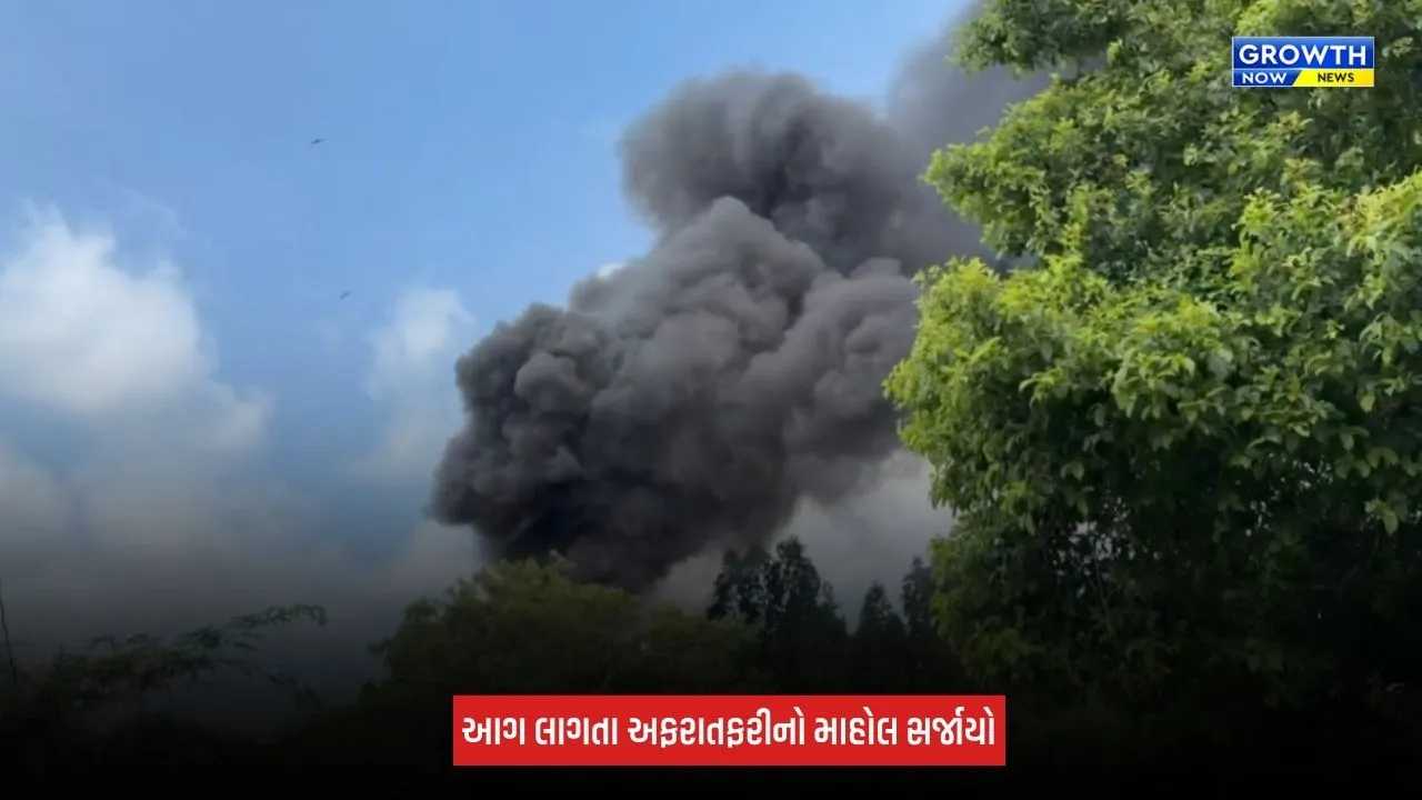 Anand : કબાડીના ગોડાઉનમાં લાગી ભીષણ આગ, ગોડાઉન અને સામાન બળીને ખાખ
