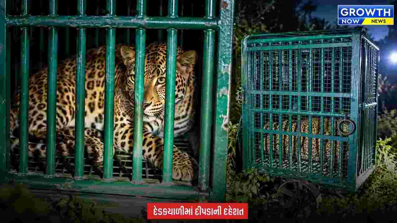 Junagadh News : જૂનાગઢના દેડકયાળીમાં બીજો દીપડો પણ પાંજરે પુરાયો, બાળકી પર હુમલા બાદ વન વિભાગની મોટી કાર્યવાહી