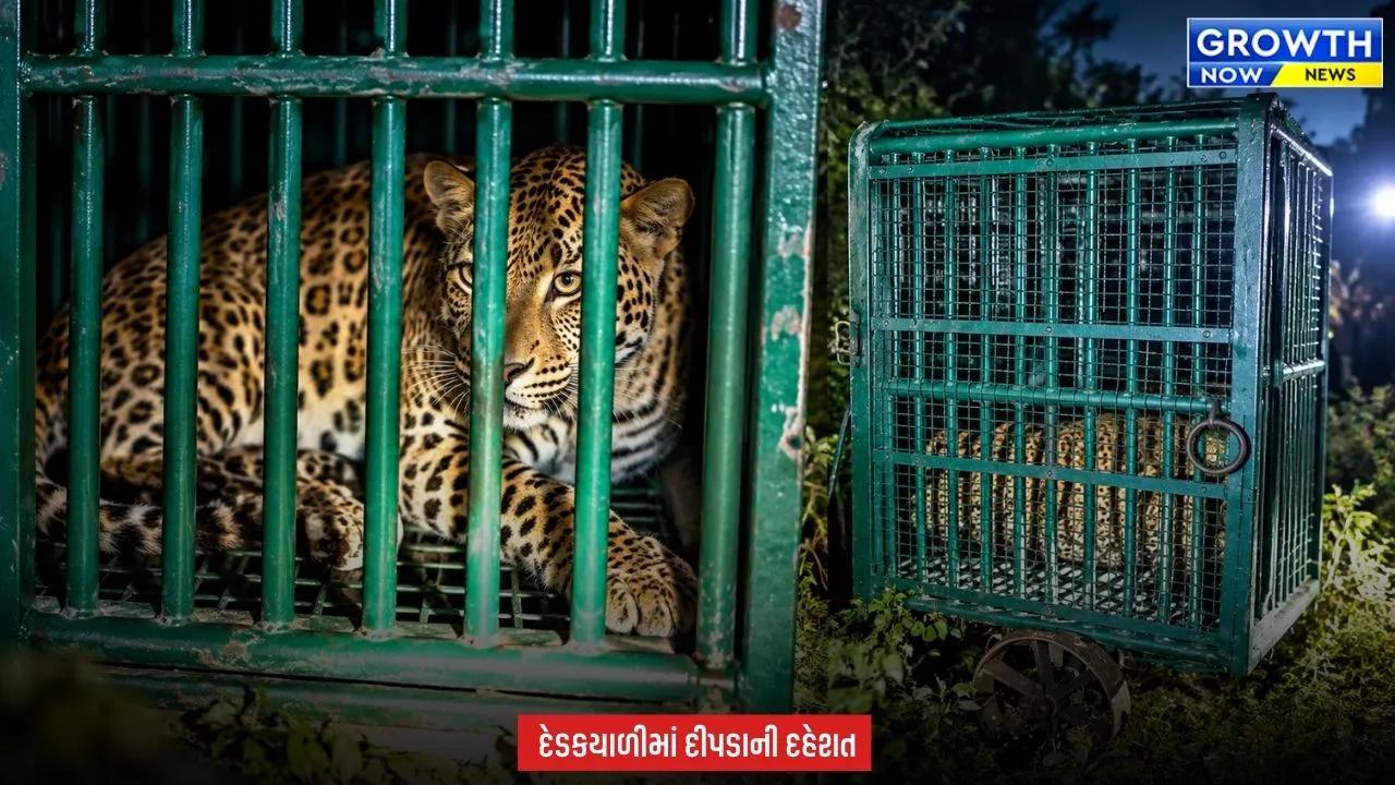 Junagadh News : જૂનાગઢના દેડકયાળીમાં બીજો દીપડો પણ પાંજરે પુરાયો, બાળકી પર હુમલા બાદ વન વિભાગની મોટી કાર્યવાહી
