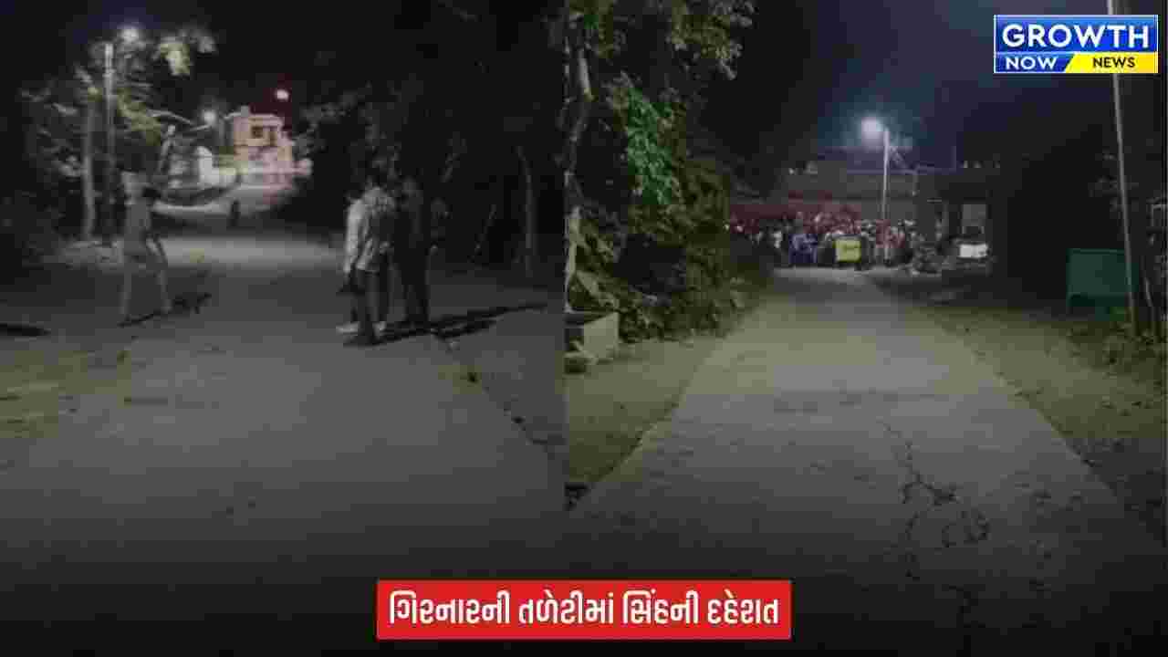 Junagadh : ભવનાથ વિસ્તારમાં યાત્રાળુઓની વચ્ચે પહોંચ્યો સિંહ, જૂનાગઢ વન વિભાગે ટોર્ચના આધારે સિંહને જંગલ તરફ ખસેડયો