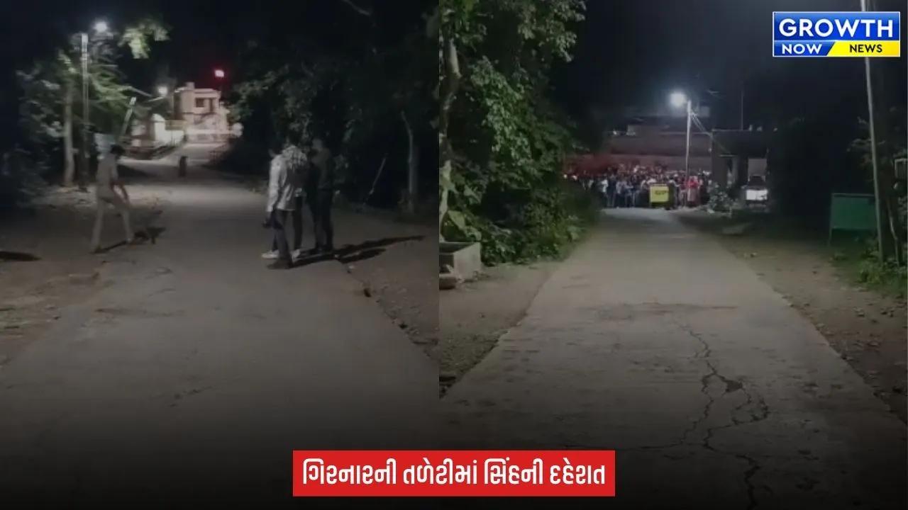 Junagadh : ભવનાથ વિસ્તારમાં યાત્રાળુઓની વચ્ચે પહોંચ્યો સિંહ, જૂનાગઢ વન વિભાગે ટોર્ચના આધારે સિંહને જંગલ તરફ ખસેડયો