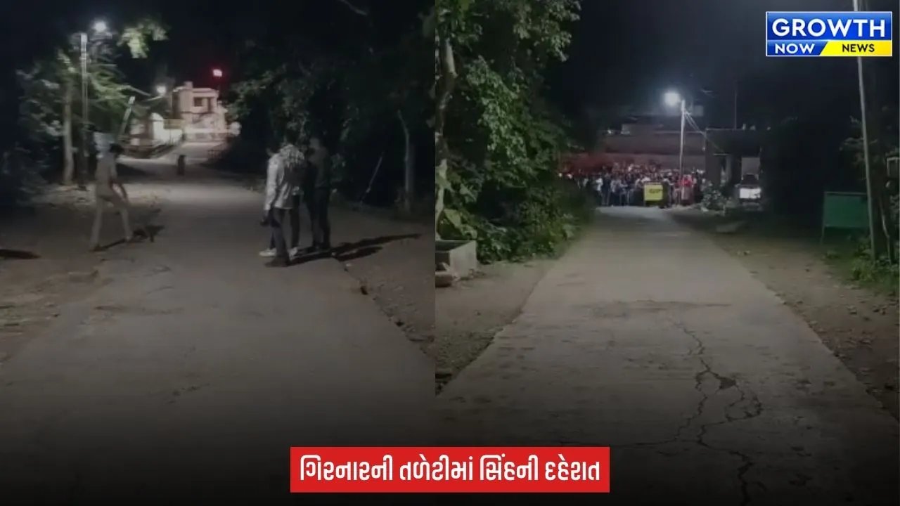 Junagadh : ભવનાથ વિસ્તારમાં યાત્રાળુઓની વચ્ચે પહોંચ્યો સિંહ, જૂનાગઢ વન વિભાગે ટોર્ચના આધારે સિંહને જંગલ તરફ ખસેડયો