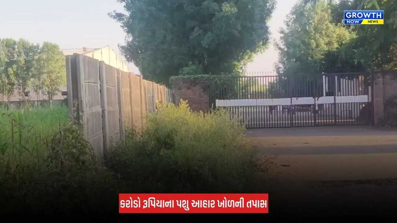Mehsana-Kadiમાં પશુ આહારના ખોળના ગોડાઉનોમાં તપાસ, 1.57 લાખથી વધુ બોરીના જથ્થાની ચકાસણી