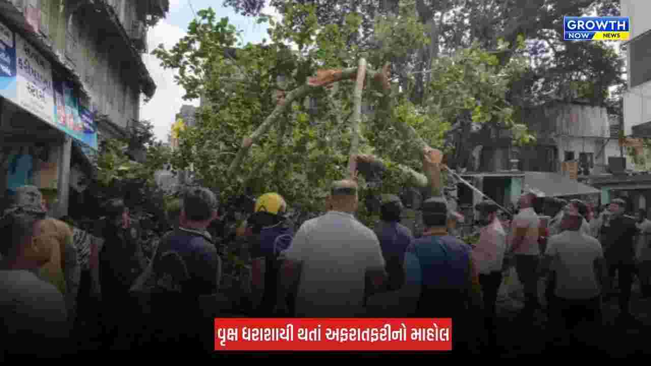 Surat : નાનપુરામાં વિશાળકાય વૃક્ષ થયું ધરાશાયી, ત્રણ લોકો ઈજાગ્રસ્ત