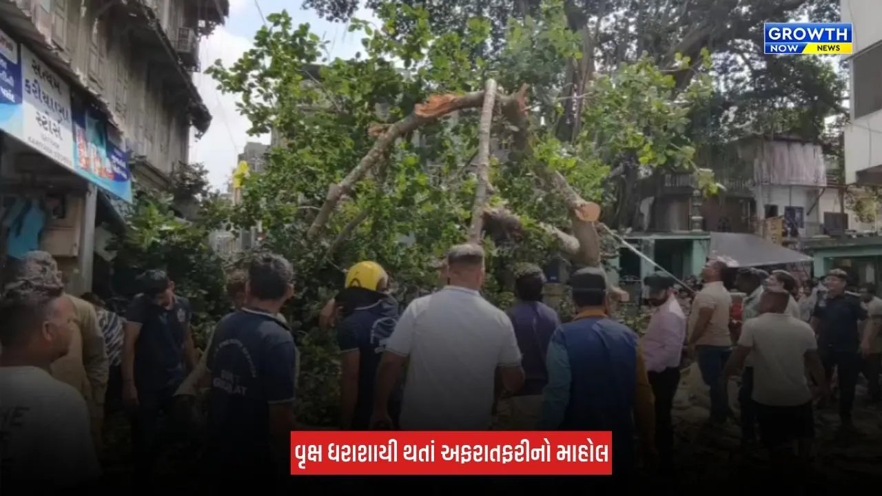 Surat : નાનપુરામાં વિશાળકાય વૃક્ષ થયું ધરાશાયી, ત્રણ લોકો ઈજાગ્રસ્ત