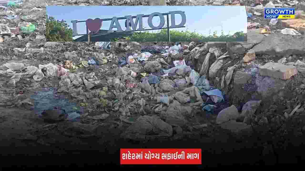 Amod : 'I LOVE AMOD'ના બોર્ડ નીચે જ કચરાના ઢગલા, નગરપાલિકાની સફાઈ કામગીરી સામે સવાલો
