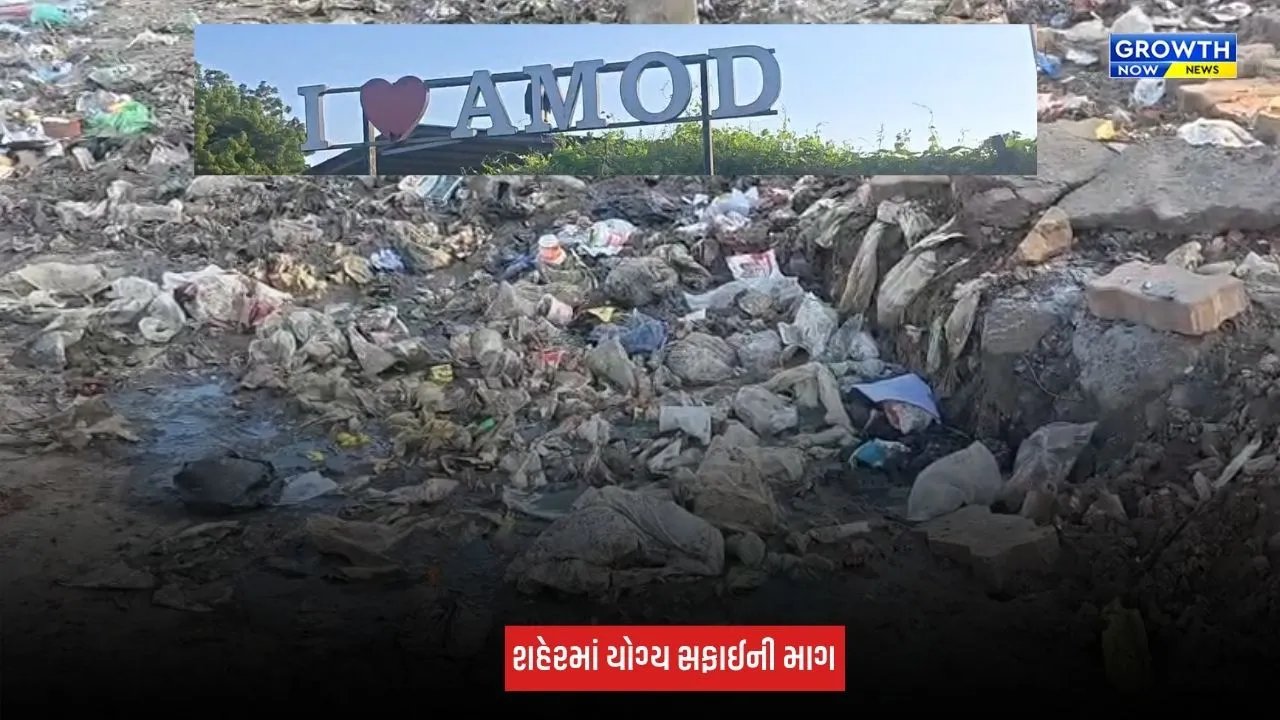 Amod : 'I LOVE AMOD'ના બોર્ડ નીચે જ કચરાના ઢગલા, નગરપાલિકાની સફાઈ કામગીરી સામે સવાલો