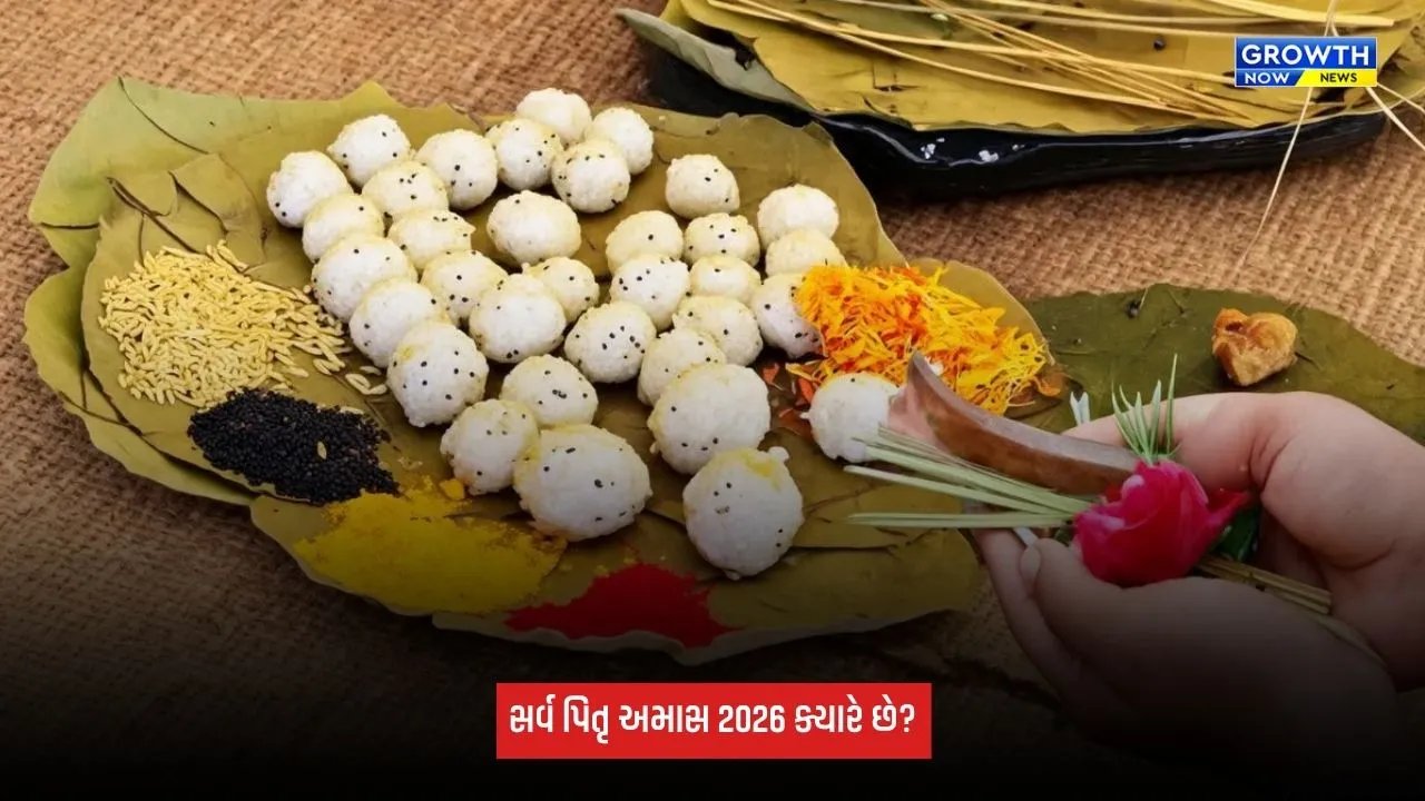 Sarva Pitru Amavasya: સર્વ પિતૃ અમાસના દિવસે પૂર્વજોને ખુશ કરવાના ઉપાયો, જાણો