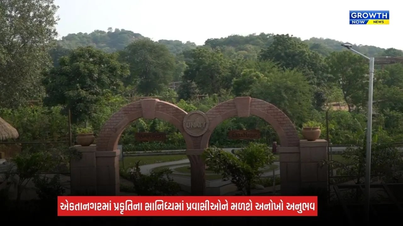 Ekta Nagar Rain Forest: રૂપિયા 9.49 કરોડના ખર્ચે 'રેઈન ફોરેસ્ટ' તૈયાર, 220 મીટર લાંબો ગ્લાસ સ્કાયવોક બનશે મુખ્ય આકર્ષણ