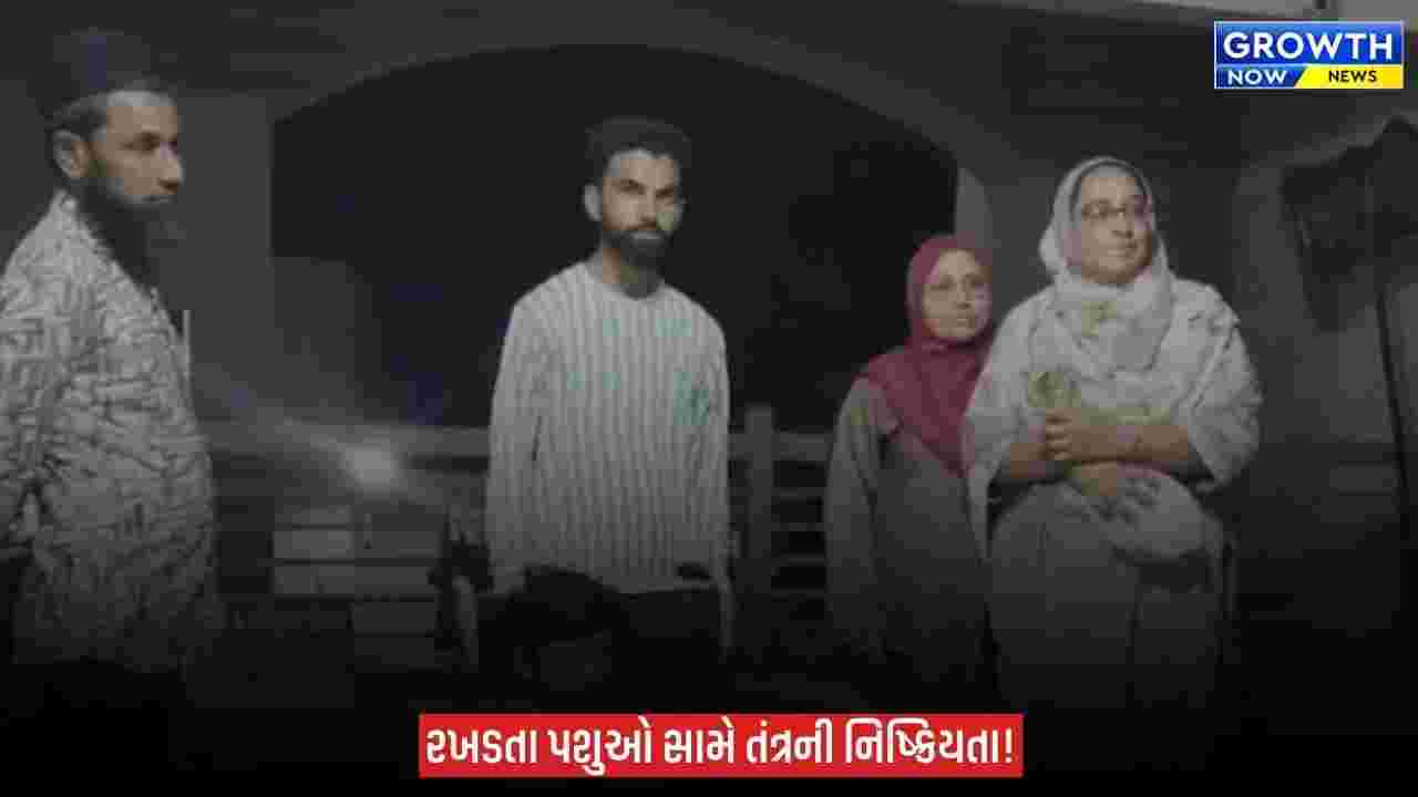 Arvalli ના મોડાસામાં રખડતા ઢોરનો આતંક, આખલાની ટક્કરે 7 વર્ષના બાળકને પહોંચી ગંભીર ઈજા