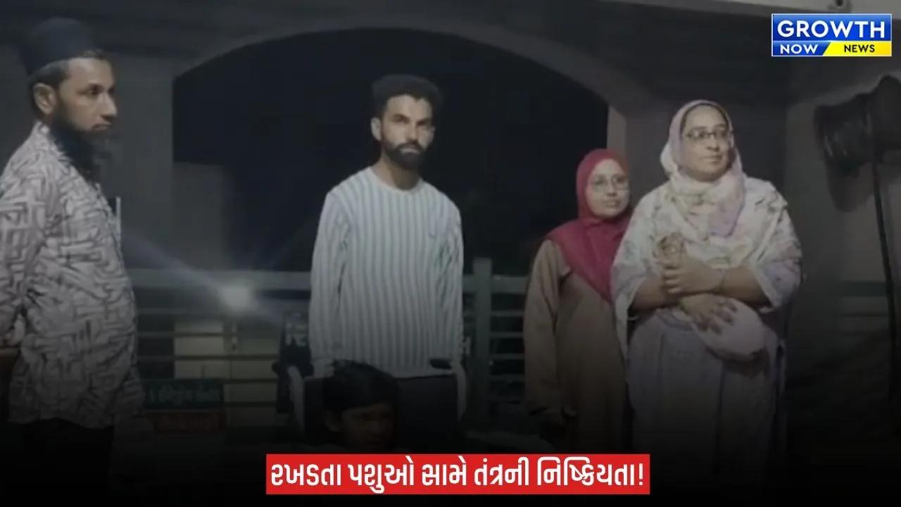 Arvalli ના મોડાસામાં રખડતા ઢોરનો આતંક, આખલાની ટક્કરે 7 વર્ષના બાળકને પહોંચી ગંભીર ઈજા