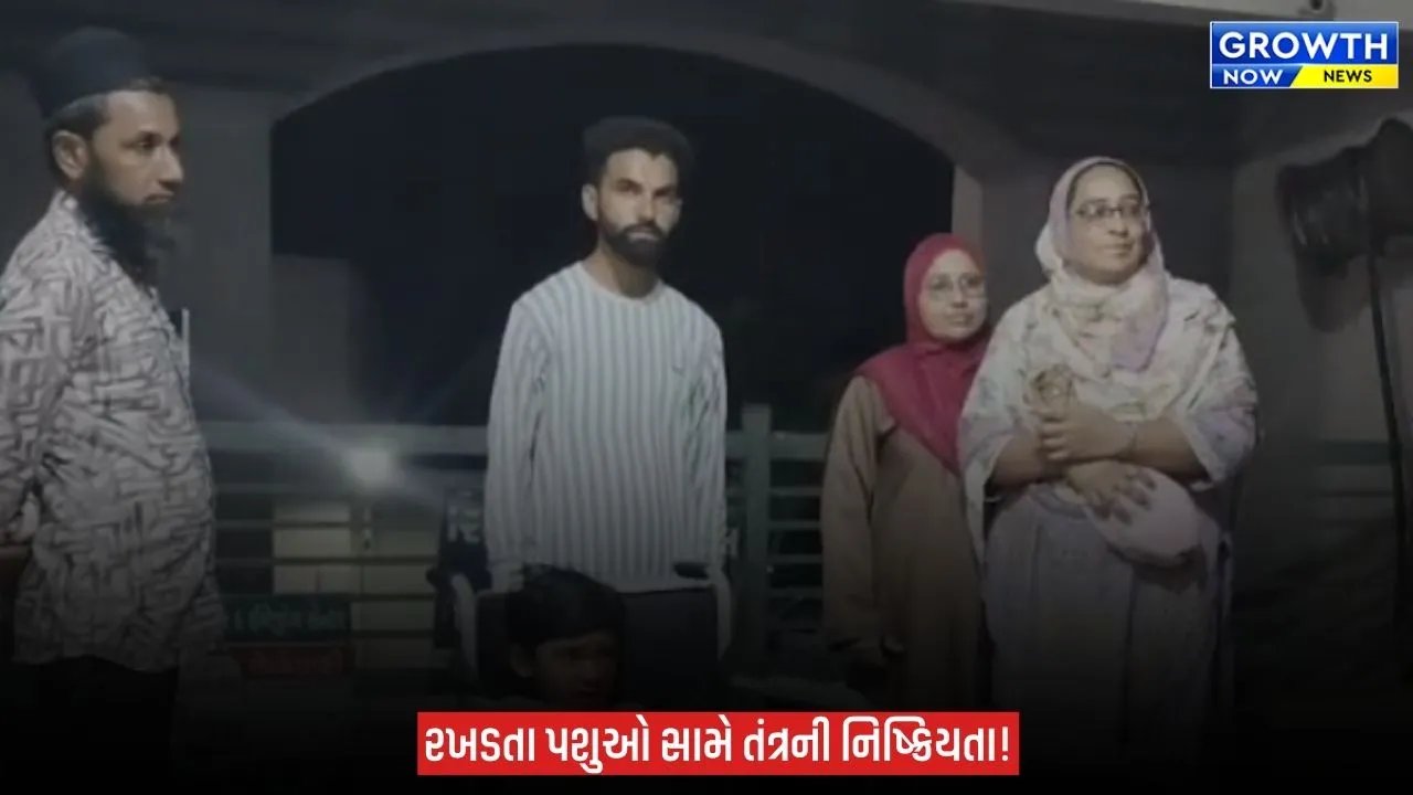 Arvalli ના મોડાસામાં રખડતા ઢોરનો આતંક, આખલાની ટક્કરે 7 વર્ષના બાળકને પહોંચી ગંભીર ઈજા