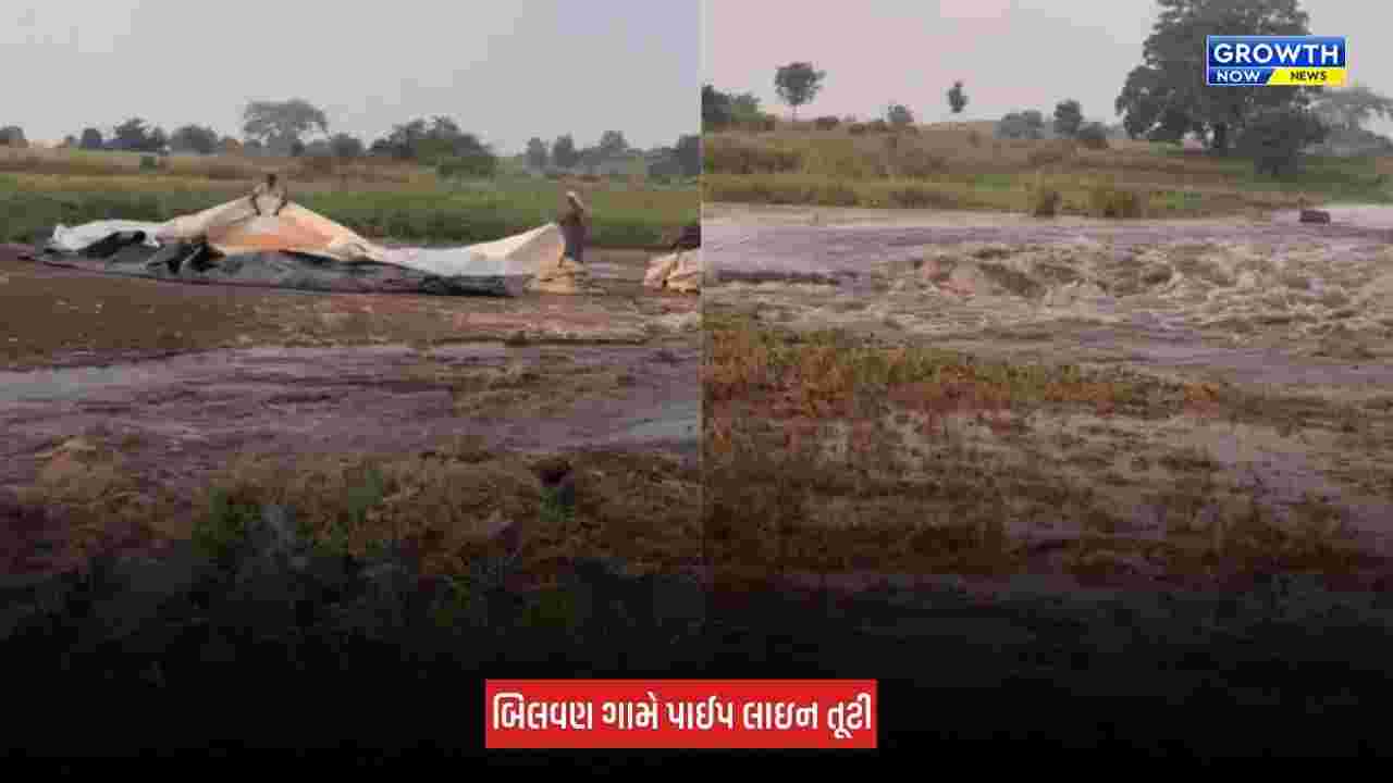 Surat News: ઉમરપાડાના બિલવણ ગામે તાપી-કરજણ લિંક યોજનાની પાઈપલાઈન તૂટી, ખેડૂતોના ખેતર બન્યા જળબંબાકાર