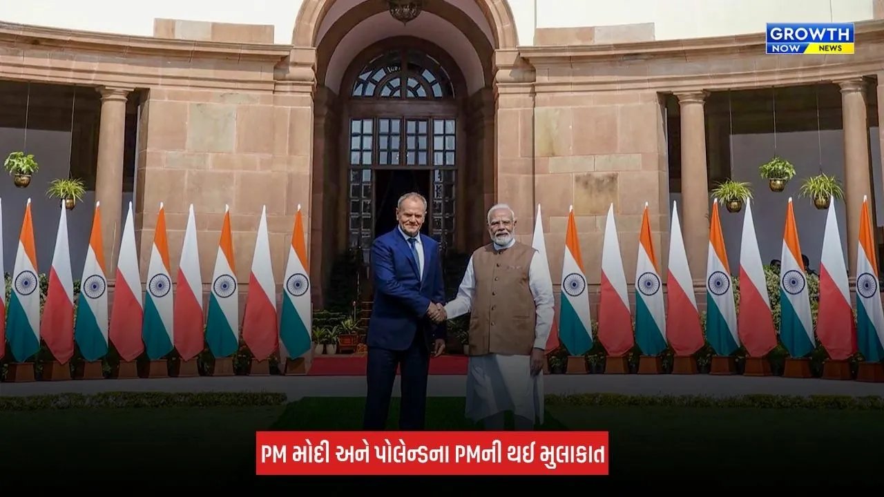 Delhi: હૈદરાબાદ હાઉસમાં PM મોદી અને પોલેન્ડના PM ડોનાલ્ડ ટસ્કની મુલાકાત, વ્યૂહાત્મક ભાગીદારી મજબૂત કરવા સહમતિ વ્યક્ત કરી