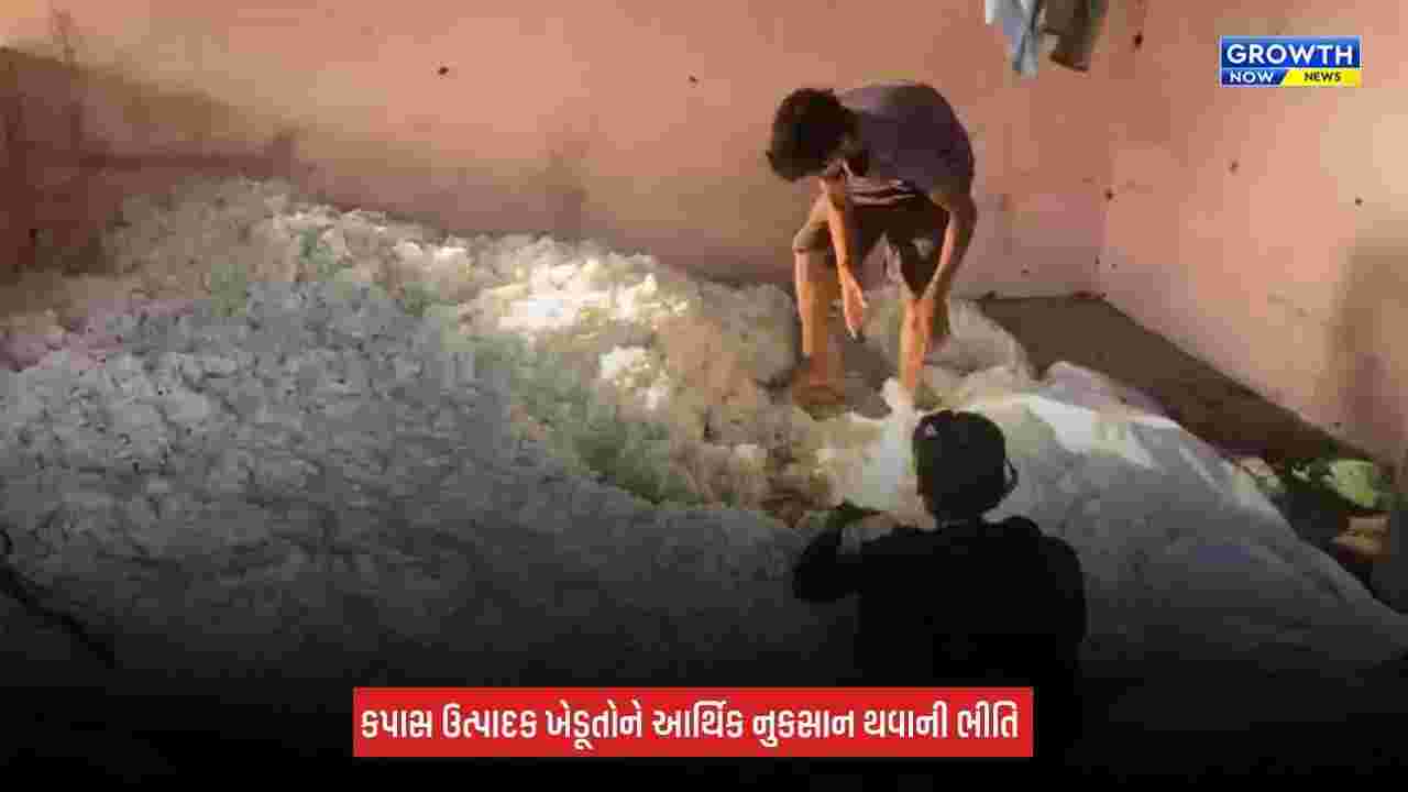 Surat News: કપાસની આયાત ડ્યુટીની મુક્તિ ન લંબાવવા PM મોદીને લખાયો પત્ર