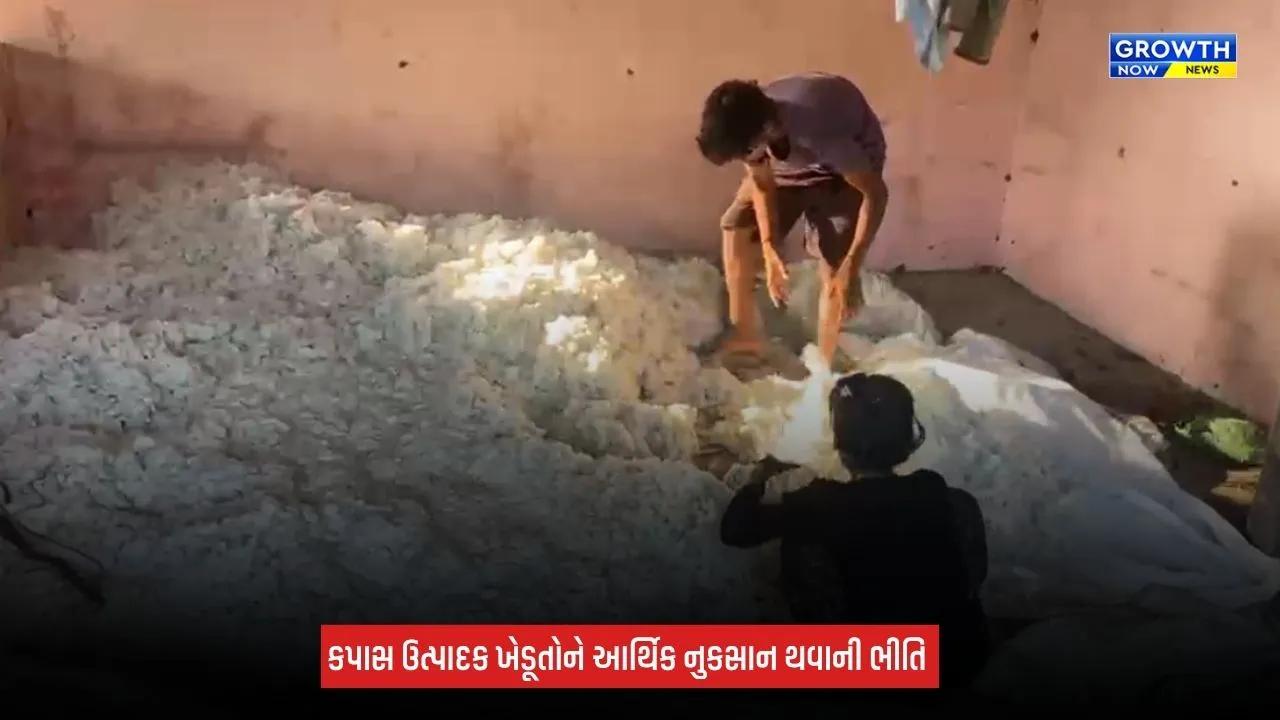 Surat News: કપાસની આયાત ડ્યુટીની મુક્તિ ન લંબાવવા PM મોદીને લખાયો પત્ર