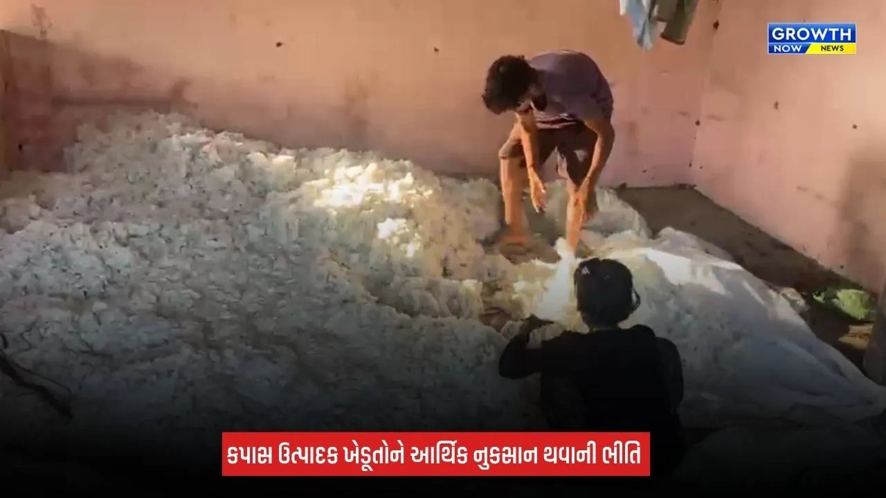Surat News: કપાસની આયાત ડ્યુટીની મુક્તિ ન લંબાવવા PM મોદીને લખાયો પત્ર