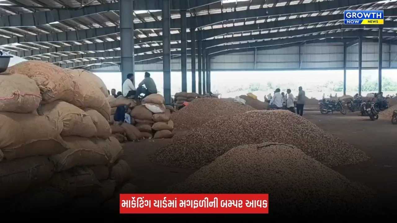 Bhavnagar : મહુવા માર્કેટિંગ યાર્ડમાં મગફળીની 20,000 ગુણીની આવક, યાર્ડ છલોછલ ભરાયું