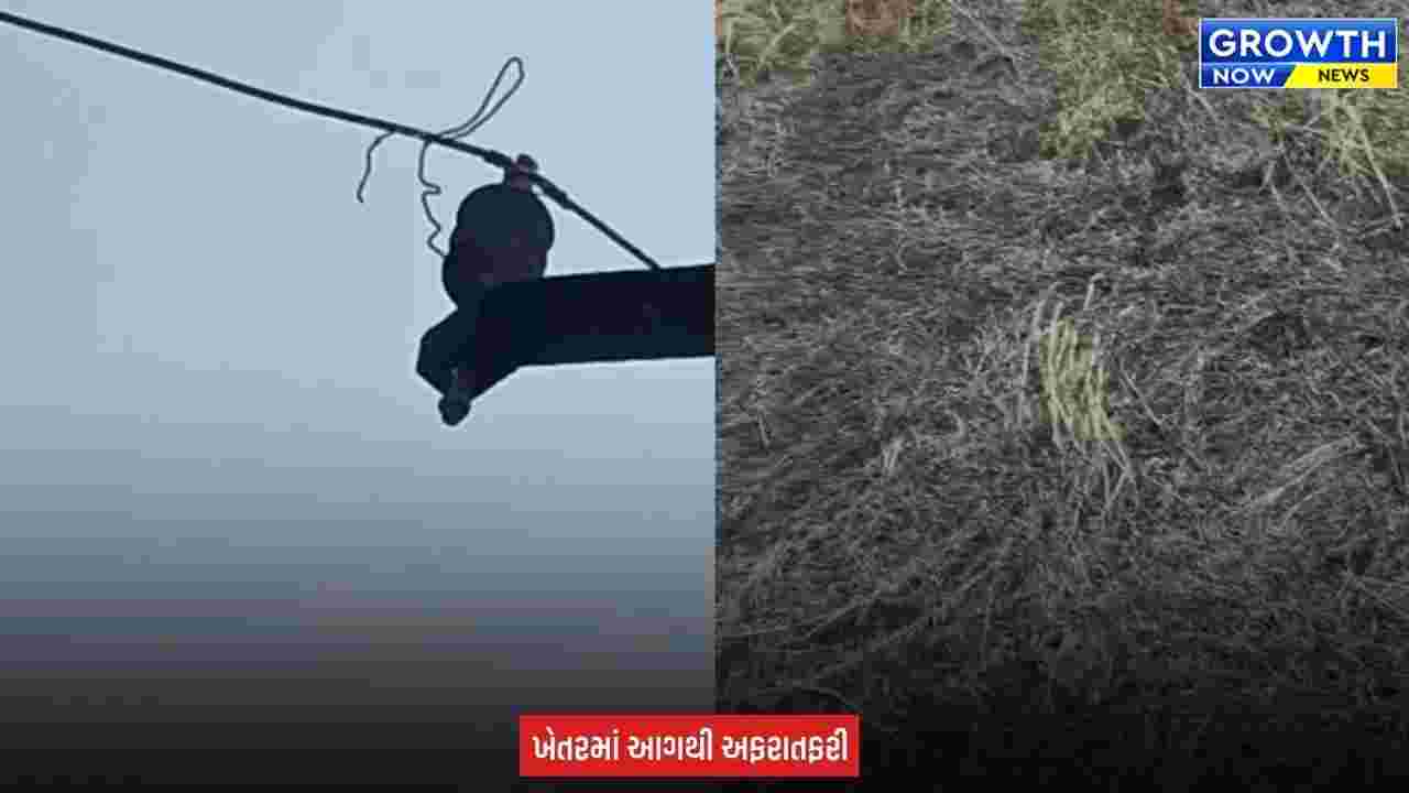 Sabarkantha Fire News : સાબરકાંઠાના વક્તાપુરમાં વીજતારમાં શોર્ટ સર્કિટની આશંકા વચ્ચે ડાંગરના ખેતરમાં આગ, 40 મણ પાક બળ્યાની આશંકા