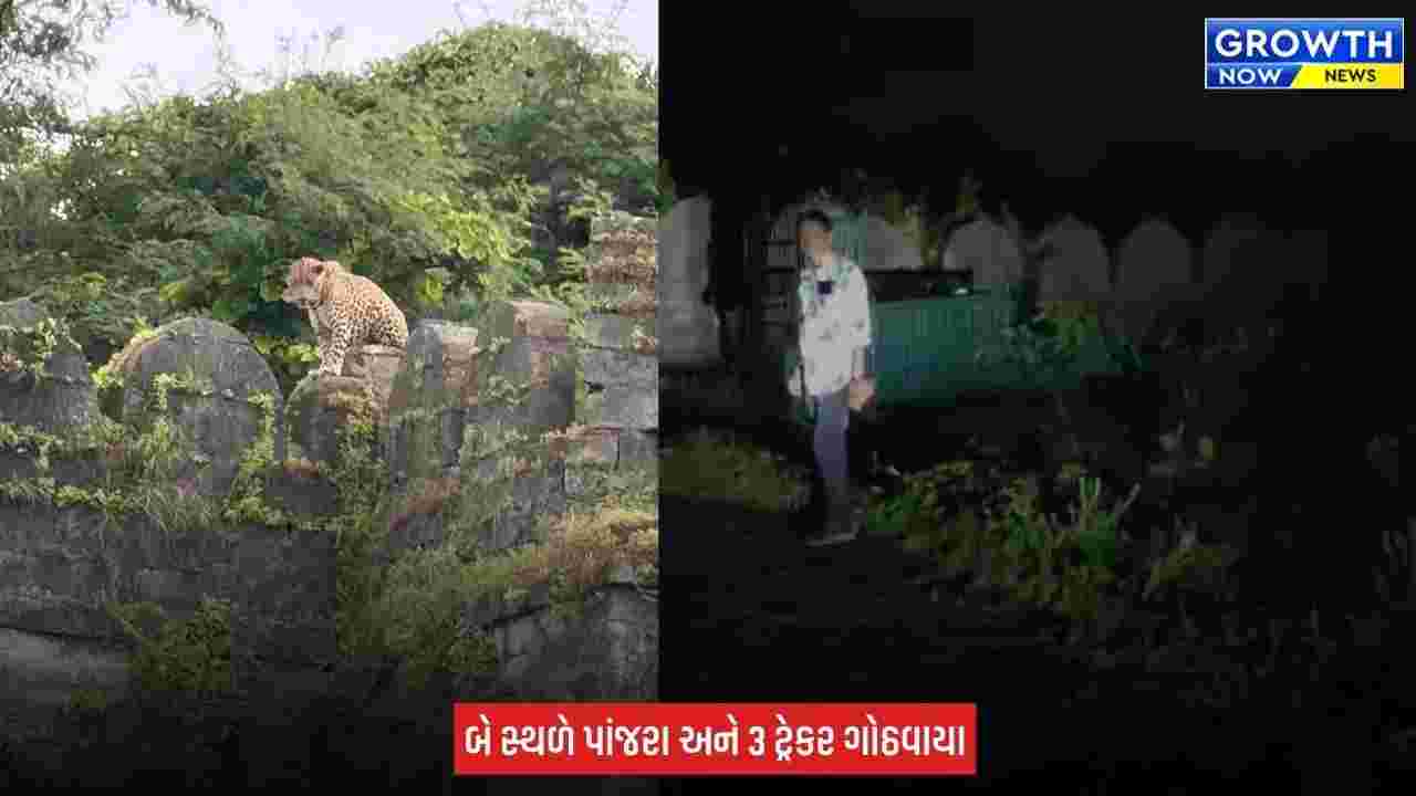 Junagadh ના ઉપરકોટ કિલ્લામાં દીપડાની દહેશત, પ્રવાસીઓ માટે કિલ્લો સંપૂર્ણ બંધ કરાયો