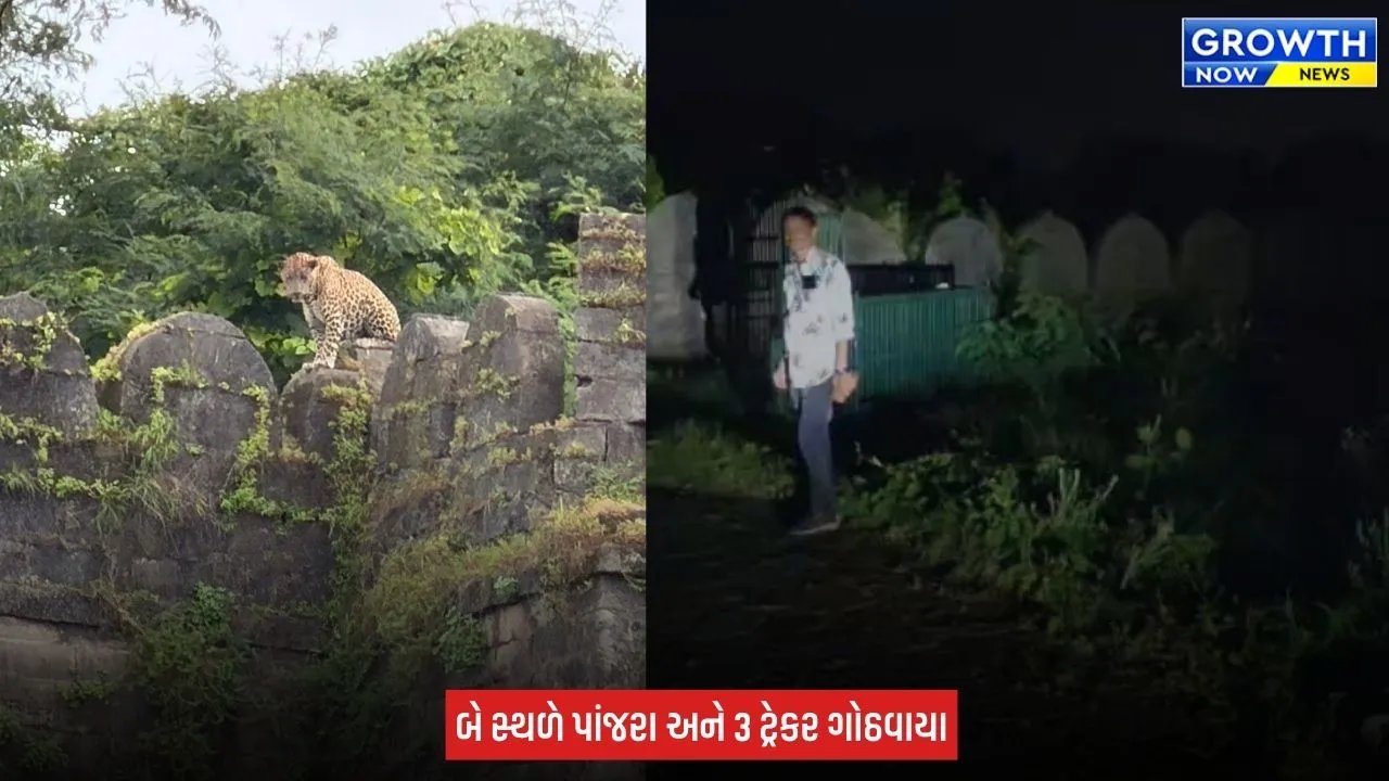 Junagadh ના ઉપરકોટ કિલ્લામાં દીપડાની દહેશત, પ્રવાસીઓ માટે કિલ્લો સંપૂર્ણ બંધ કરાયો
