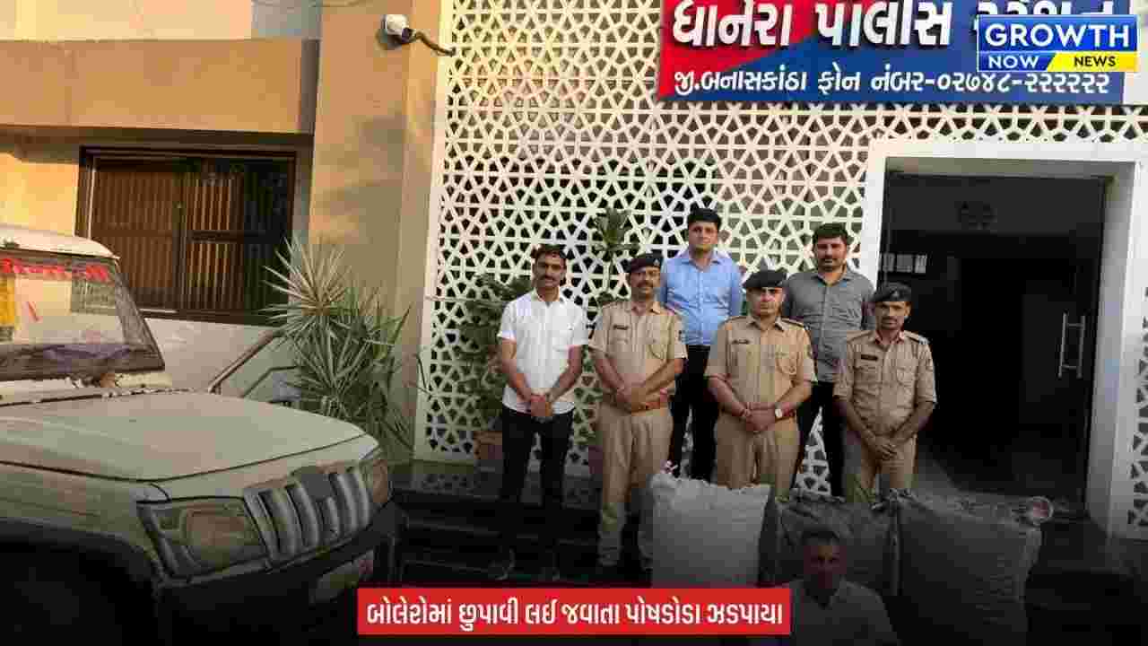 Banaskantha News : ધાનેરા પોલીસે 64.750 કિલો જથ્થાના પોષડોડા ઝડપ્યા, ₹11.76 લાખના મુદ્દામાલ સાથે એકની અટકાયત
