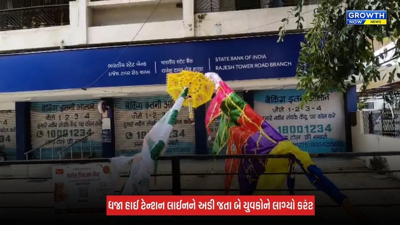 Vadodara : રામદેવપીરના ભક્તોના સંઘ સાથે અકસ્માત, બે યુવકોને લાગ્યો વીજ કરંટ