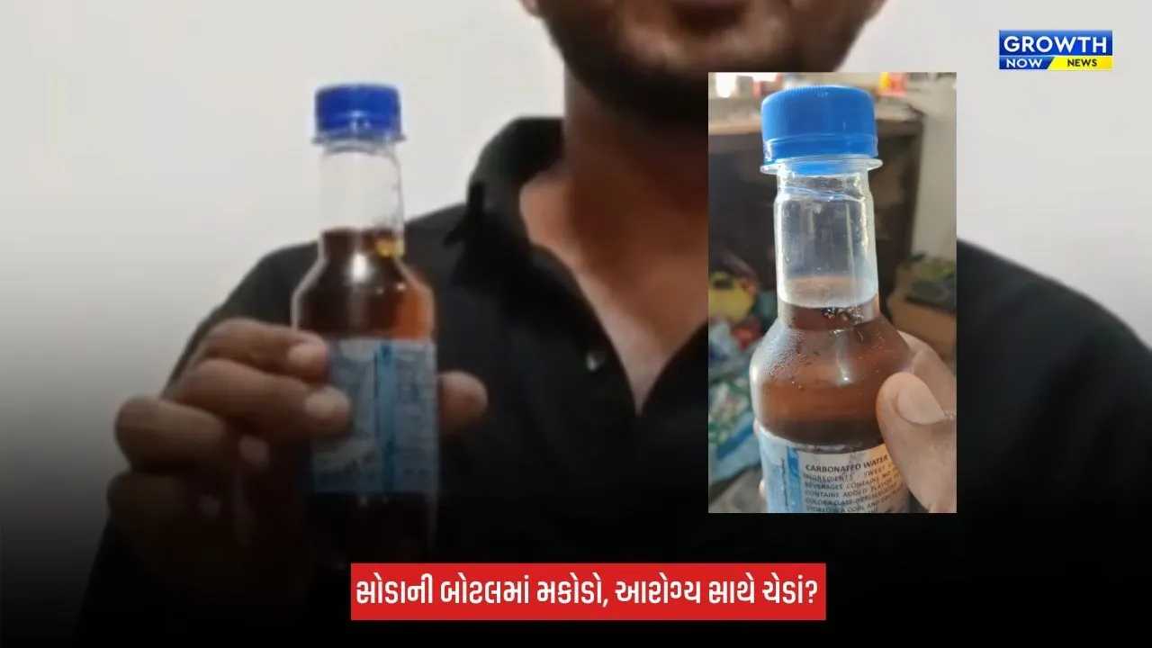 Jamnagar : સીલપેક સોડાની બોટલમાંથી મકોડો મળતાં ચકચાર, વેપારીએ સ્થાનિક ફૂડ વિભાગને તાત્કાલિક ફરિયાદ કરી