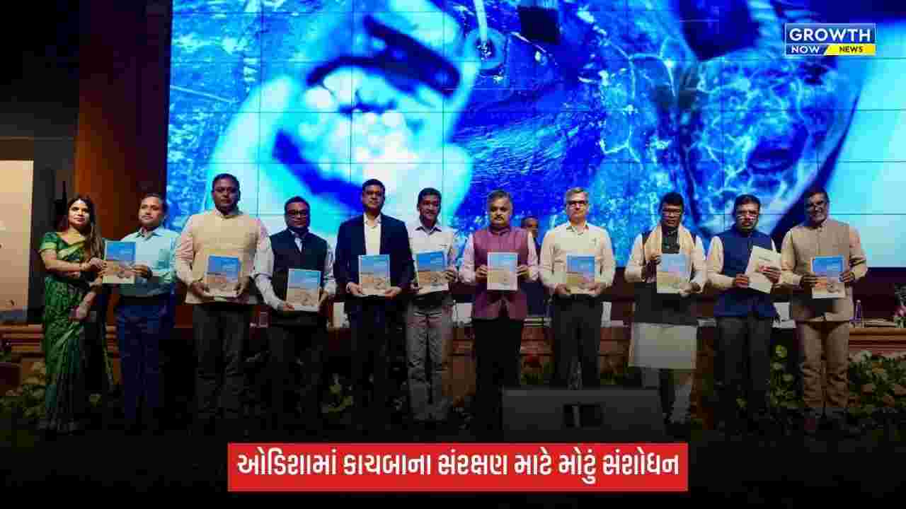 Olive Ridley કાચબાના સંરક્ષણ માટે ઓડિશા સરકારની નવી પહેલ, ડૉ. પ્રીતિ અદાણીએ અભિગમને બિરદાવ્યો