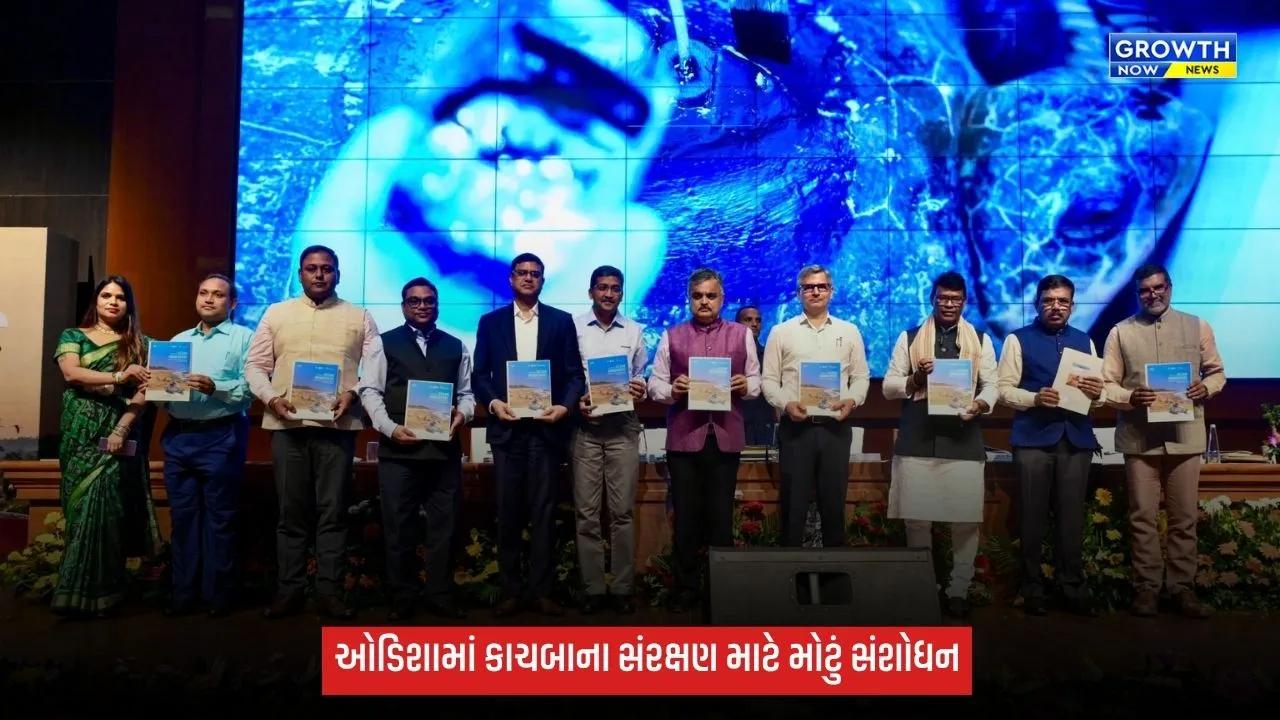 Olive Ridley કાચબાના સંરક્ષણ માટે ઓડિશા સરકારની નવી પહેલ, ડૉ. પ્રીતિ અદાણીએ અભિગમને બિરદાવ્યો