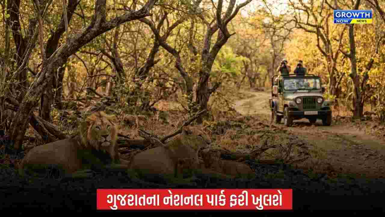Gujaratના તમામ અભયારણ્ય અને નેશનલ પાર્ક 9 ઓક્ટોબરથી પ્રવાસીઓ માટે ખુલશે, વનવિહારની મજા ફરી માણી શકાશે