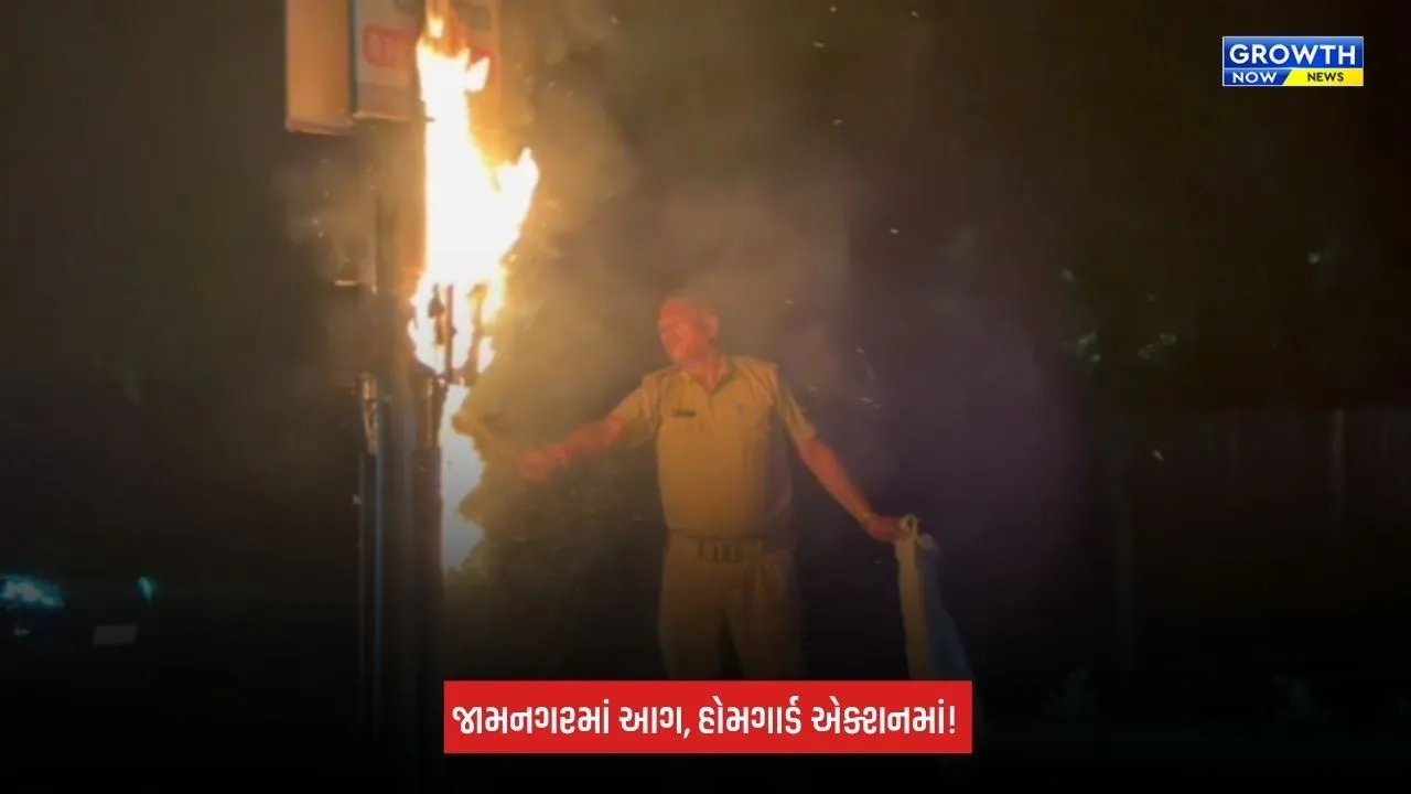 Jamnagarમાં હોમગાર્ડ જવાનોની સતર્કતા, વીજપોલમાં લાગેલી આગ તાત્કાલિક બુઝાવી