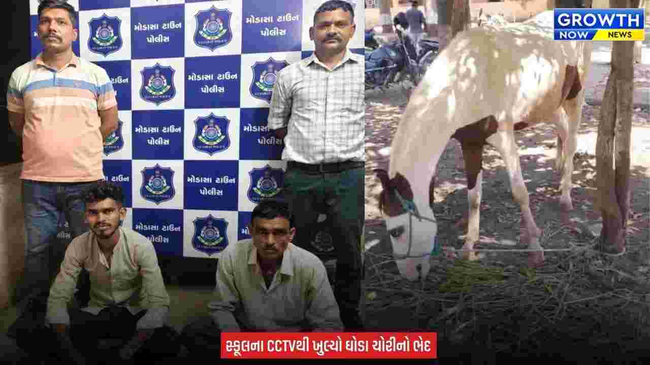 Arvalli News : મોડાસામાં ₹4.10 લાખના બે ઘોડાની ચોરીનો ભેદ ઉકેલાયો, પિતા-પુત્રને પોલીસે ઝડપી પાડયા