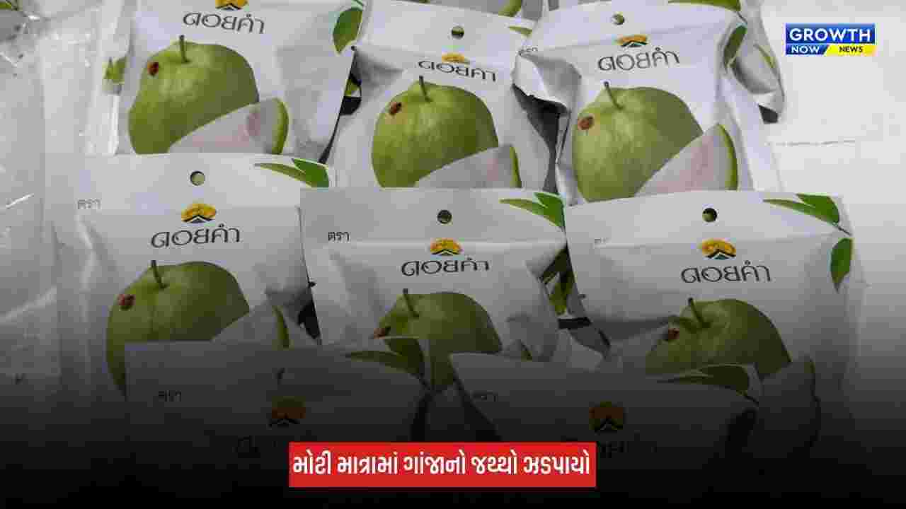 Ahmedabad : એરપોર્ટ પર કસ્ટમ વિભાગની મોટી કાર્યવાહી, 973 ગ્રામ હાઈડ્રોપોનિક મેરિજુઆના ઝડપાયું