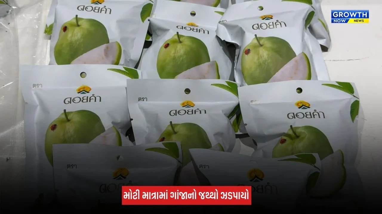 Ahmedabad : એરપોર્ટ પર કસ્ટમ વિભાગની મોટી કાર્યવાહી, 973 ગ્રામ હાઈડ્રોપોનિક મેરિજુઆના ઝડપાયું