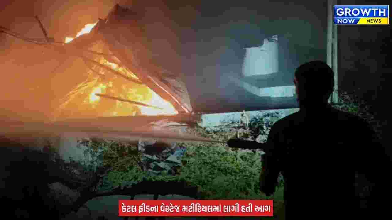 Kheda News : ડભાણ પાસે મોડી રાત્રે આગનો તાંડવ, ફેક્ટરી બળીને ખાખ, ફાયર વિભાગે કુલિંગ કામગીરી પૂર્ણ કરી