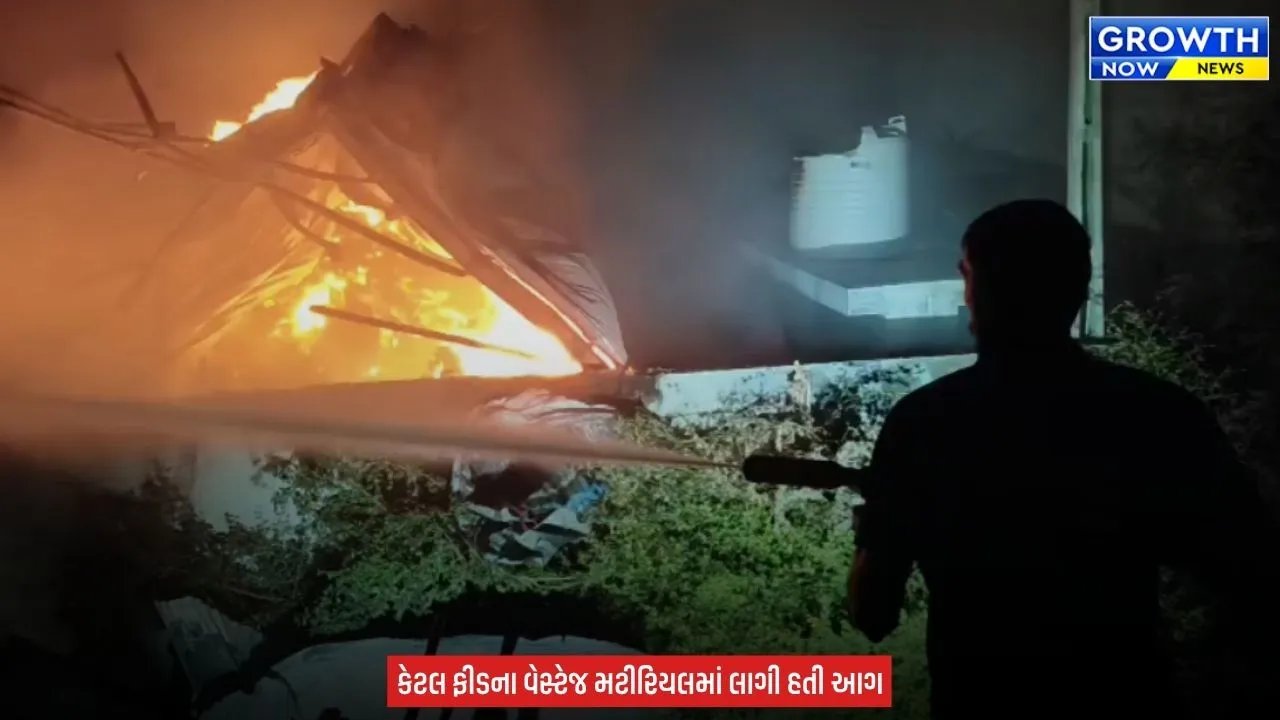 Kheda News : ડભાણ પાસે મોડી રાત્રે આગનો તાંડવ, ફેક્ટરી બળીને ખાખ, ફાયર વિભાગે કુલિંગ કામગીરી પૂર્ણ કરી