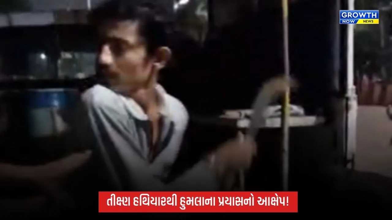 સુરતના અમરોલીમાં રખડતા ઢોર પકડવા ગયેલી SMC ટીમ સાથે ઘર્ષણ, હુમલાના પ્રયાસનો આક્ષેપ