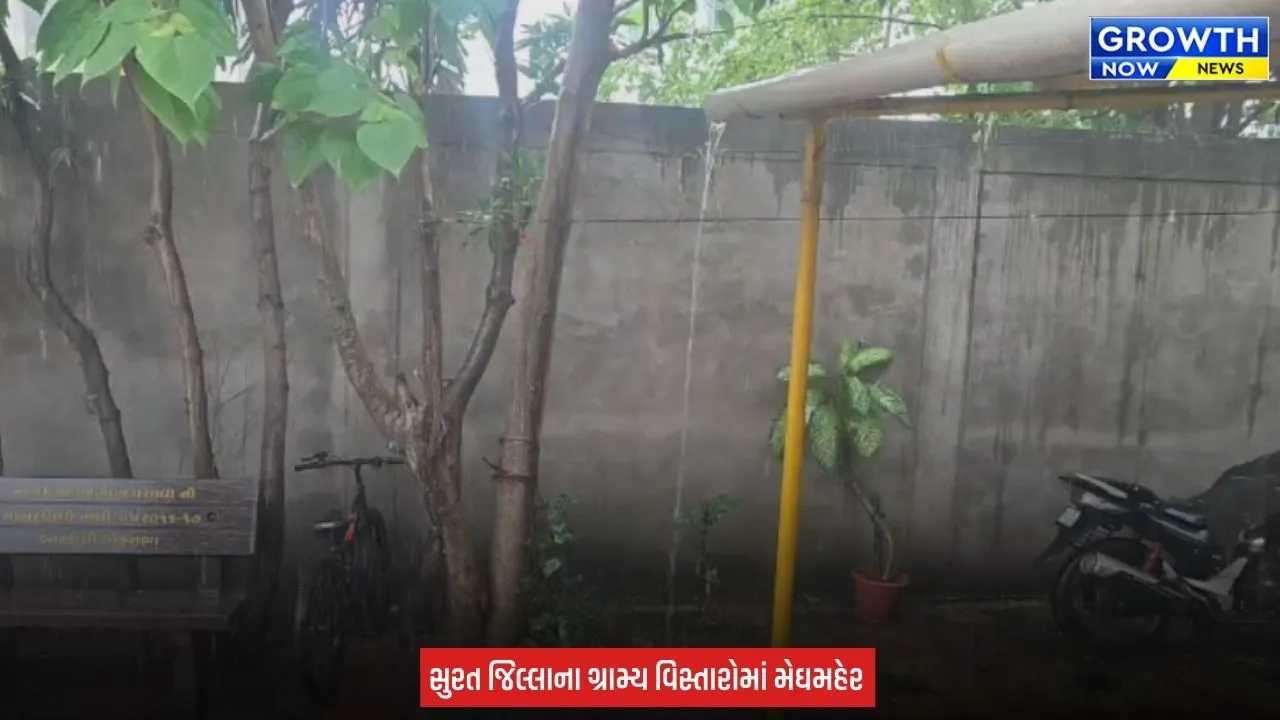Surat જિલ્લામાં ફરી મેઘમહેર, 3 દિવસના વિરામ બાદ ગ્રામ્ય વિસ્તારોમાં વરસાદી જમાવટ